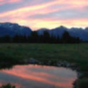 Meet your Posher, Clara